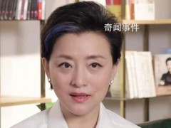 杨澜公司被冻结270万财产 杨澜实控企业一共超80家【图文】