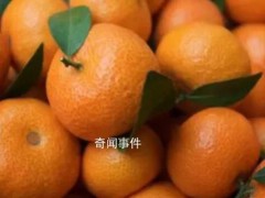 男子患肾病吃半个月桔子查出尿毒症 千万不要大量吃桔子【图文】