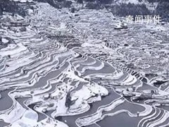 贵州梯田雪后形成大地指纹 大自然馈赠的美景【图文】