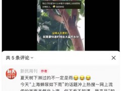 上海市民崩溃:今年的蝉为啥这么多 太吵了，被夜间蝉鸣吵得无法入睡！