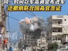 英法等25国发表联合声明 这意味着什么？