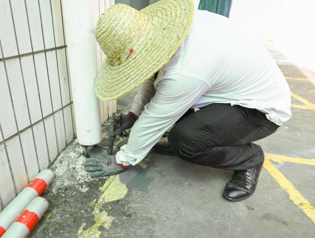 什么是基孔肯雅热 蚊媒传染病解析