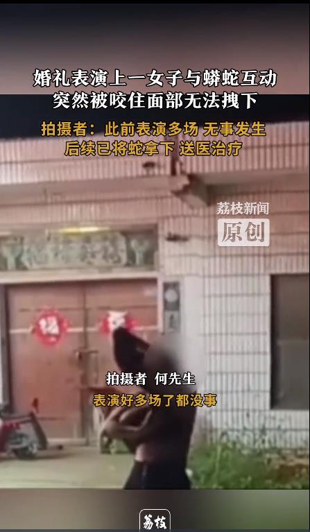 女子表演与蟒蛇亲嘴 未张嘴就遭攻击 