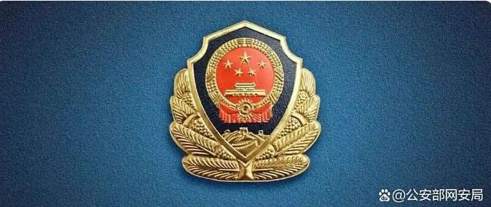 网警处罚某AI服务公司
