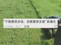 妈妈为女儿亲手种下专属草坪举办婚礼 爱的具象化礼物