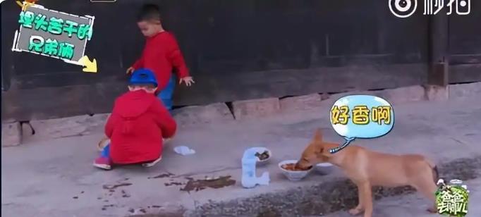 《爸爸去哪儿4》9年未解之谜破案了
