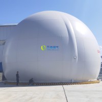 大白球双膜储气柜WD68S
