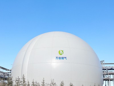 大白球双膜储气柜WD68图3