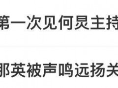 那英质疑票数作假 何炅差点没救回场 现场争议不断！（图）