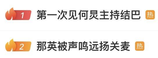 那英质疑票数作假 何炅差点没救回场