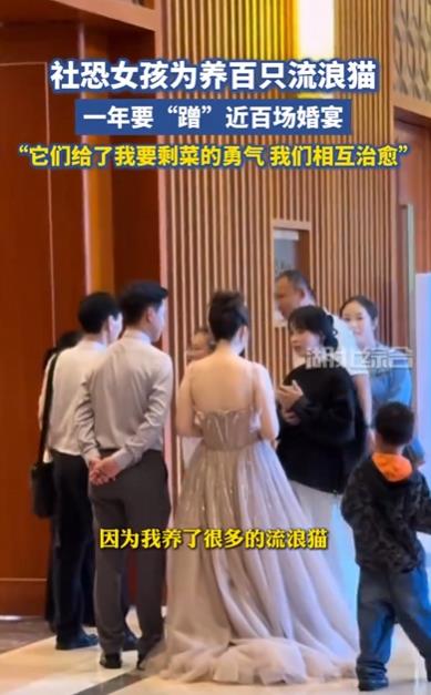 女孩为养流浪猫一年“蹭”百场婚宴