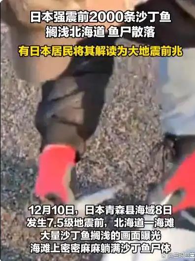 日本强震前2000条沙丁鱼搁浅北海道