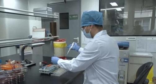 男子养五步蛇当宠物 喂食被咬致截肢