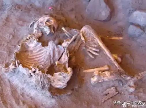 7000年前木乃伊查出全新DNA