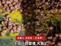 女子搬运150斤黄鸡蛋瞬间全碎，背后原因令人心酸！