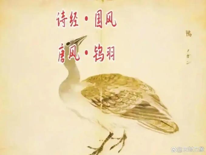 这届学生的名字都很个性