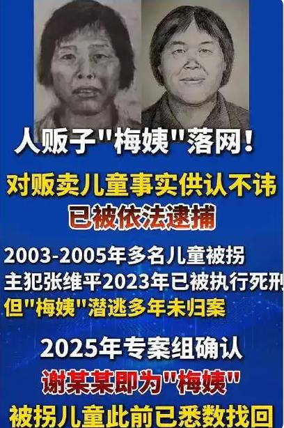 &ldquo;梅姨&rdquo;被抓时带着一个男孩生活