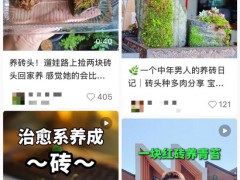 “养砖头”为什么戳中年轻人，戳中了当代年轻人的哪些痛点？