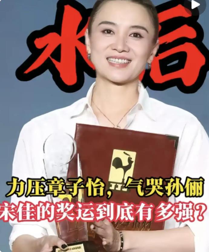 宋佳 获奖争议