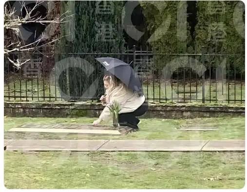 郑欣宜在沈殿霞墓前落泪