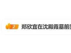 郑欣宜在沈殿霞墓前落泪，究竟真相是什么？